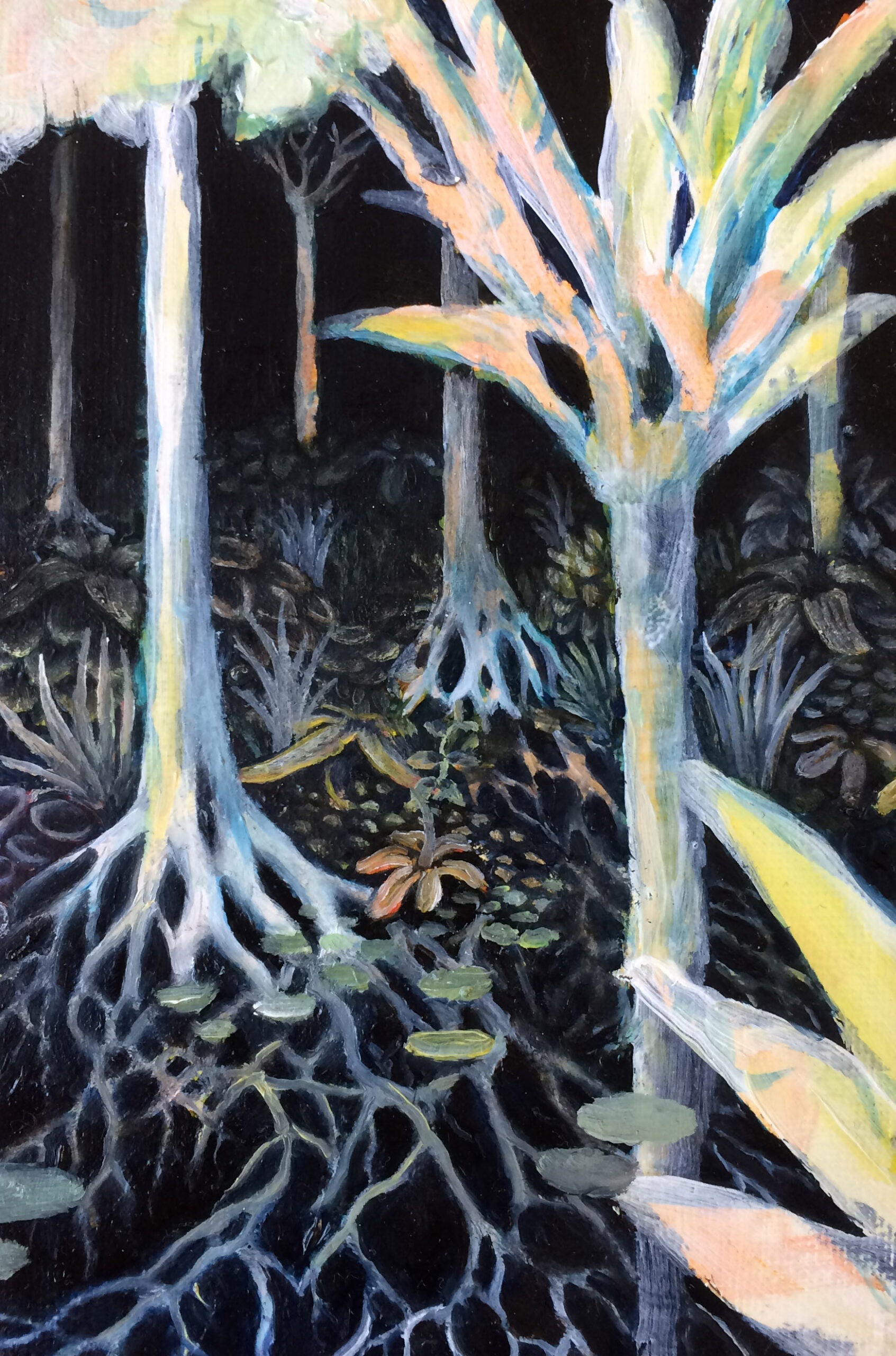 342_Ramsey_Wet-Forrest.JPG