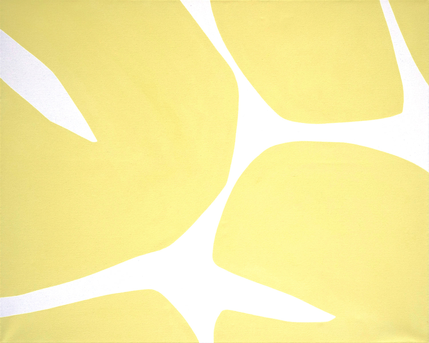 7650_2.jpg