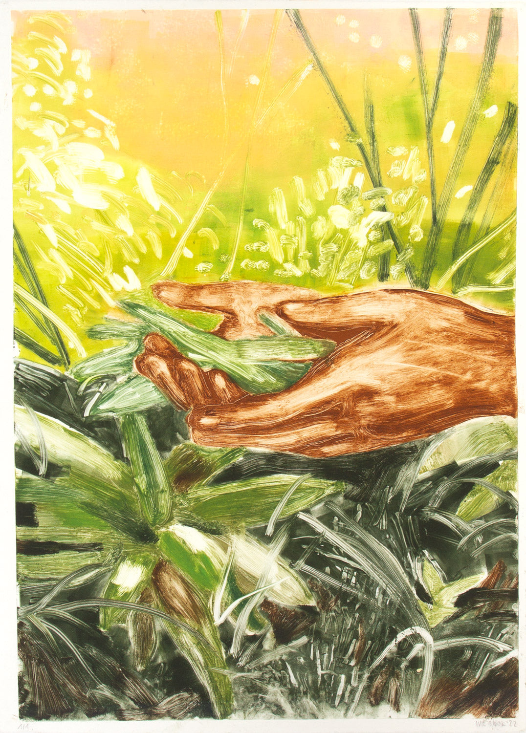 6866.jpg