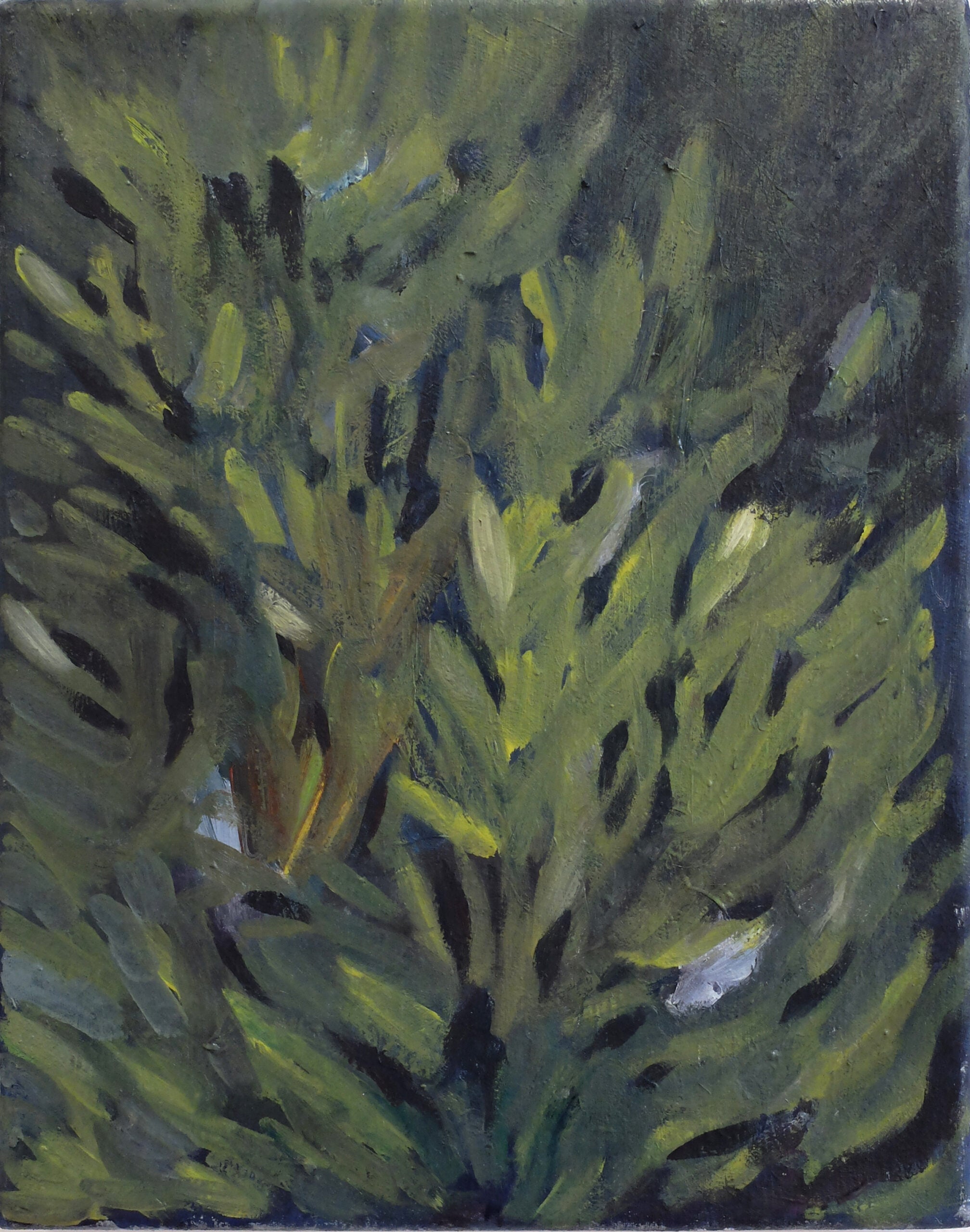 dunkle-blätter-22x28-2019.jpg