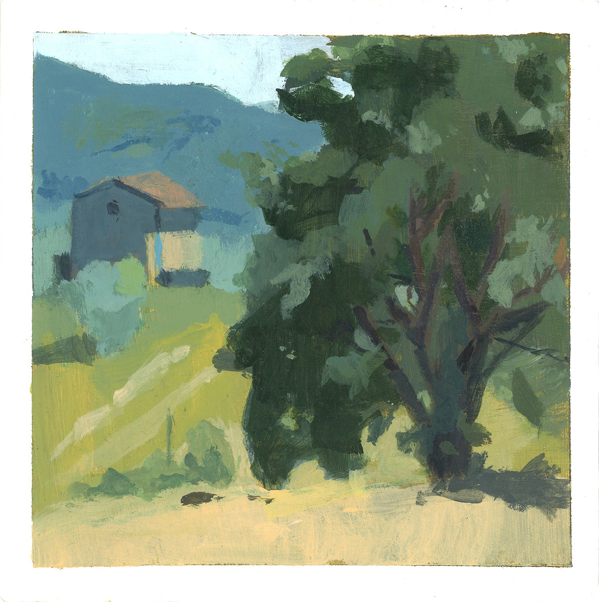 Masseto