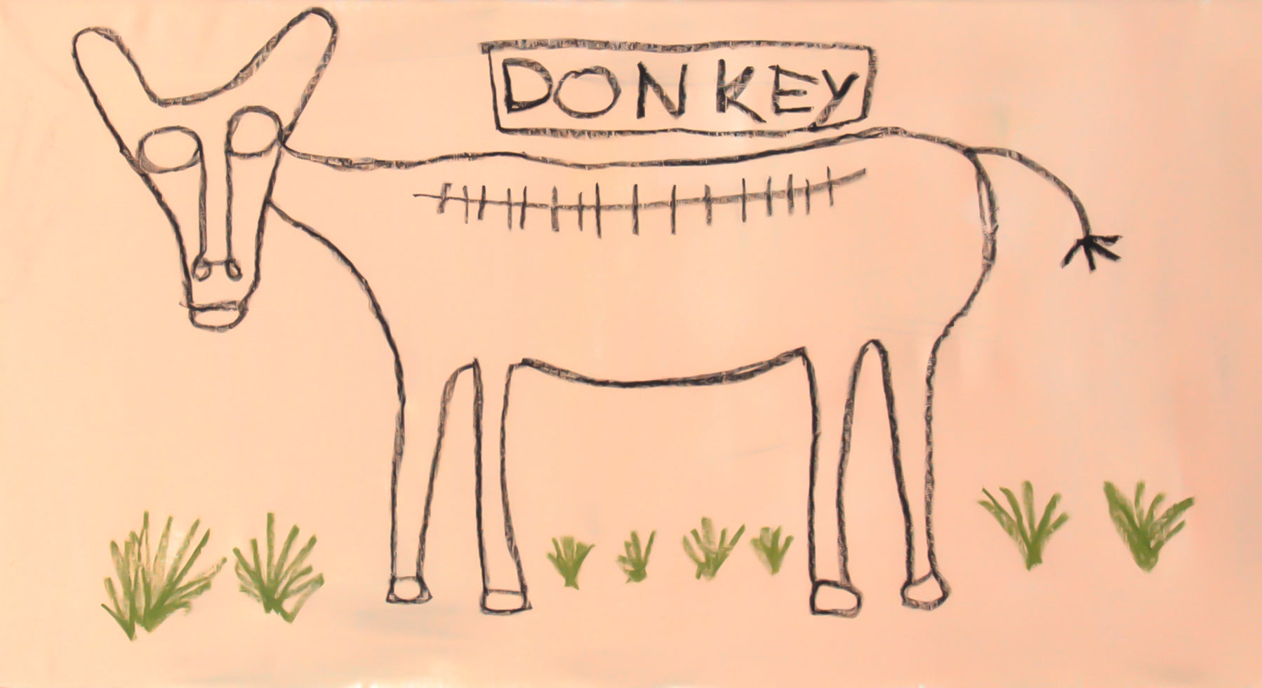 donkey.jpg