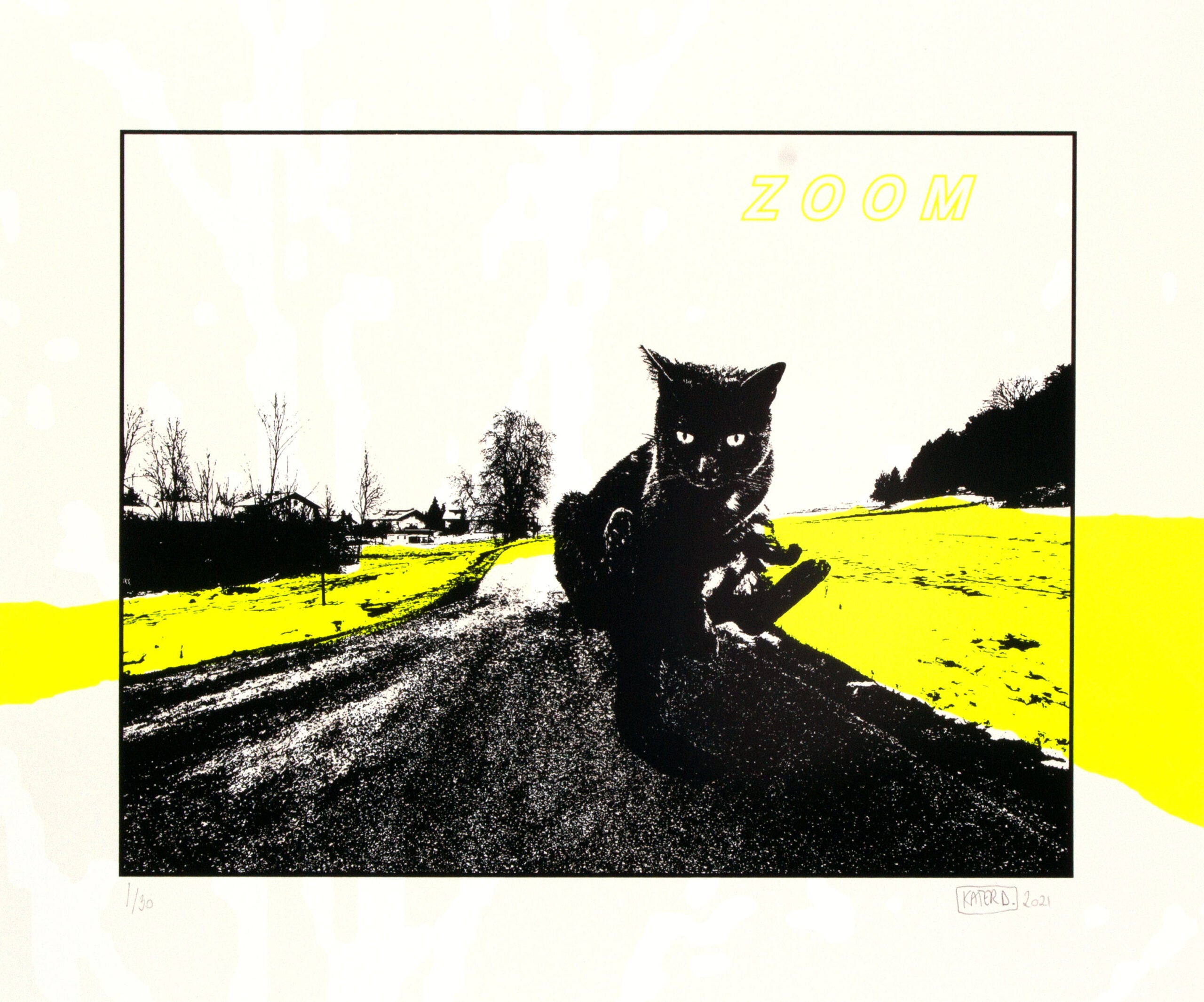 Zoom