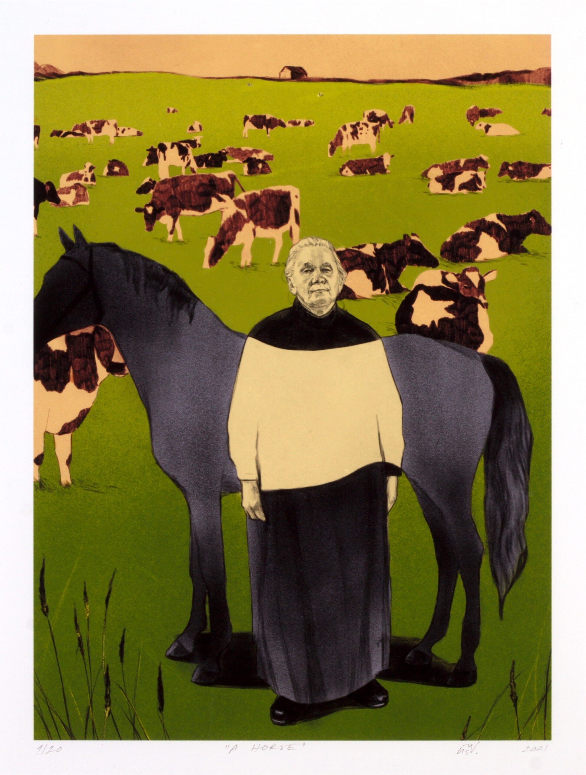 Horse